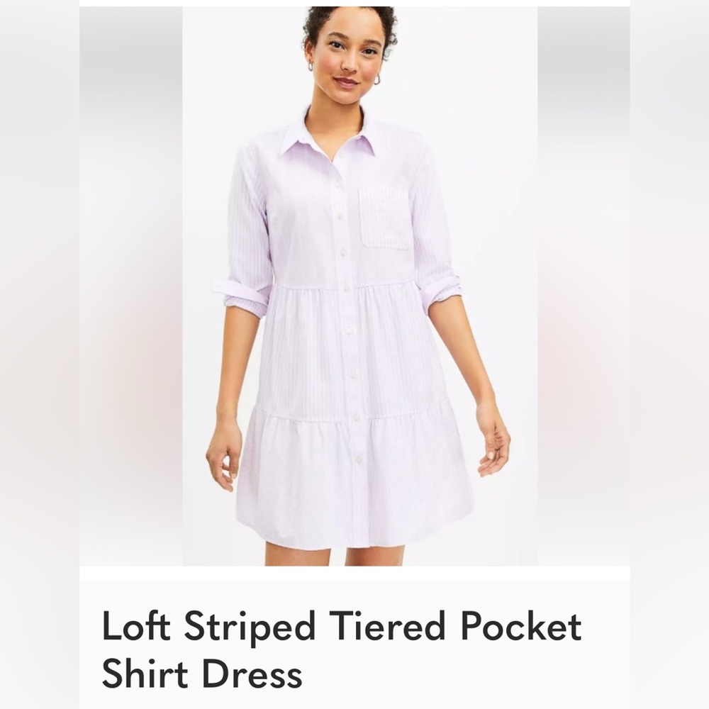 Loft Striped lavender and white Cotton Shirt dress. 3/4 length sleeves.